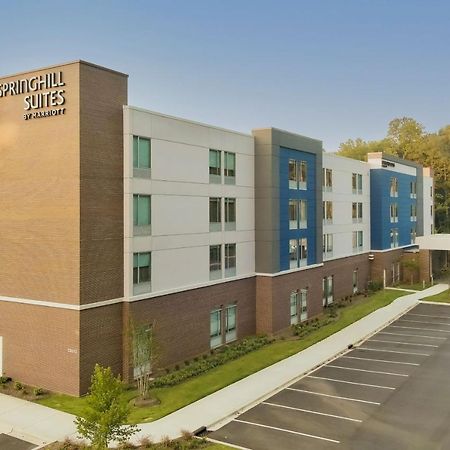 Springhill Suites By Marriott Charlotte Гантерсвілл Екстер'єр фото